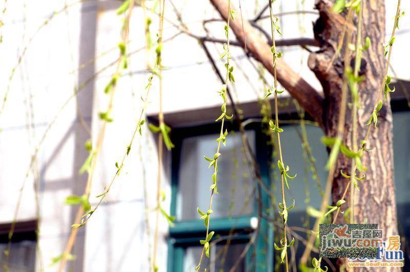 安宁庭院实景图图片