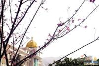 安宁庭院实景图39