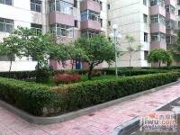 西固花园实景图6