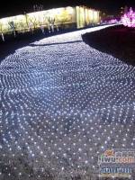 安宁庭院实景图39