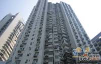 倚能金河家园实景图5