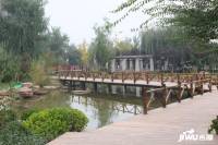 保利·金香槟实景图2